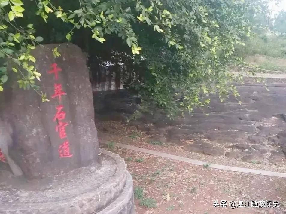 千年古村湛江遂溪调丰村