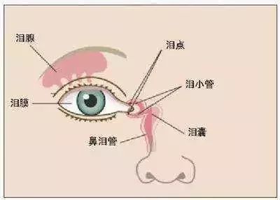 孩子泪腺堵塞该怎么办？