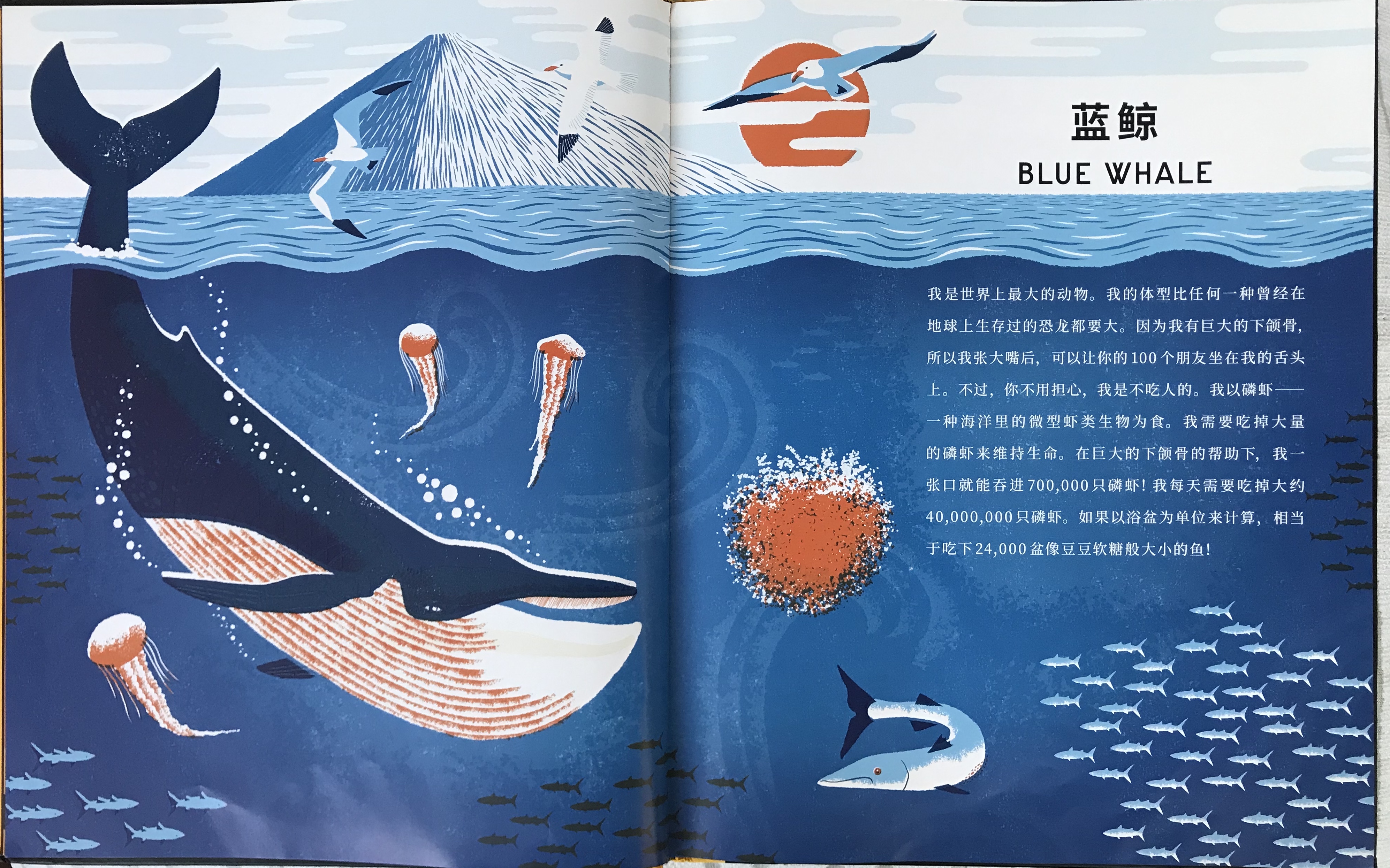 神奇的“摸骨”之书，带你揭开动物骨头的10项世界之最