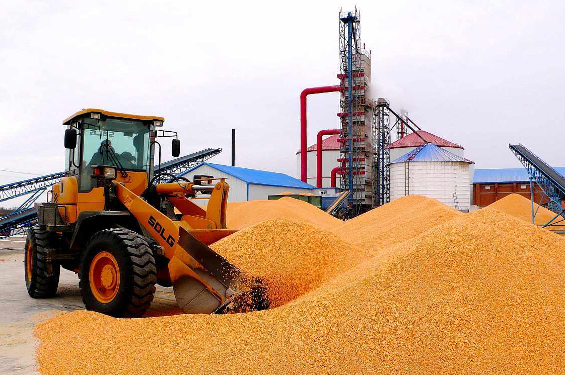 粮市“遇冷”，玉米调控升级价格走跌，小麦阴跌不止，要大跌吗？