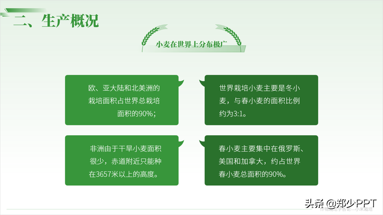 用了2个小时，设计了一份农作物栽培PPT，同事说效果很赞