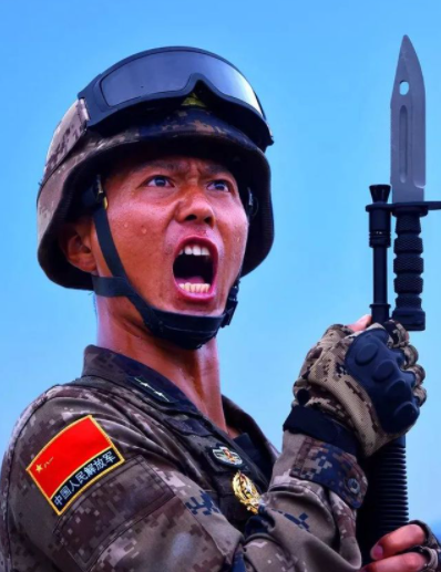 飞行员李剑英：战机遇鸽群，为救村庄，16秒内3次放弃逃生机会