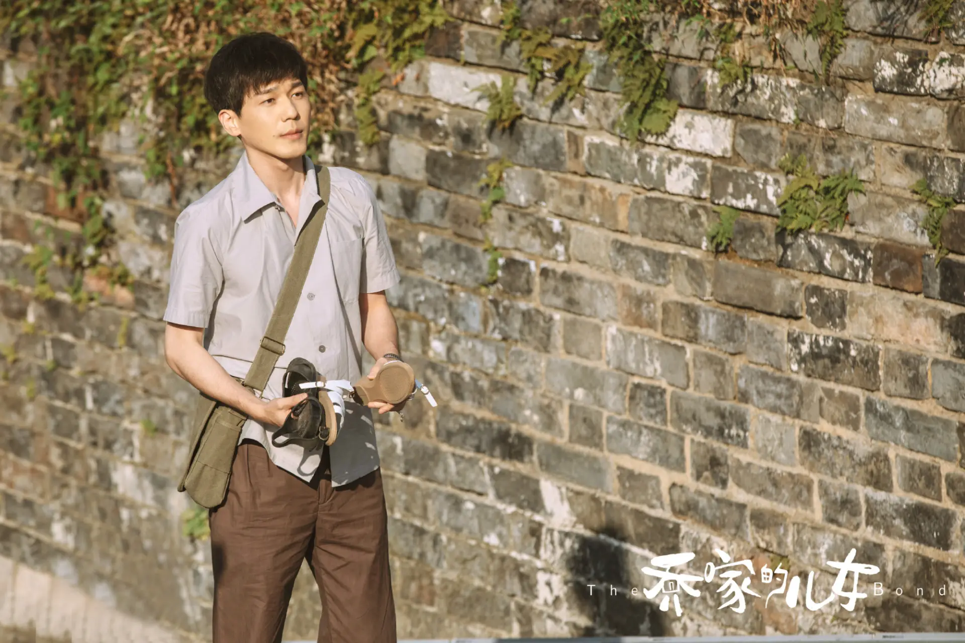 乔家的儿女人物关系图（乔家的儿女人物图鉴）