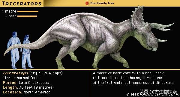 三角龍(triceratops)是非常著名的恐龍,它因為長著巨大的頭盾和三隻