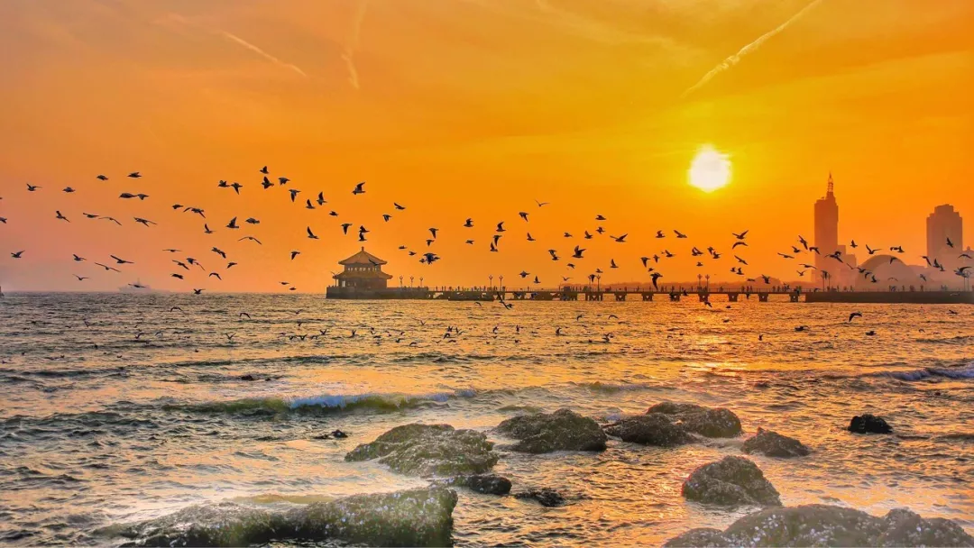 海滨风景区小青岛