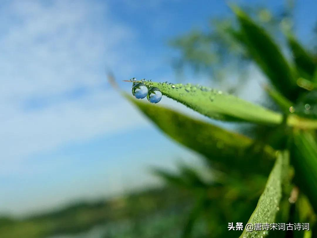 初秋，夏未远，凉意已生