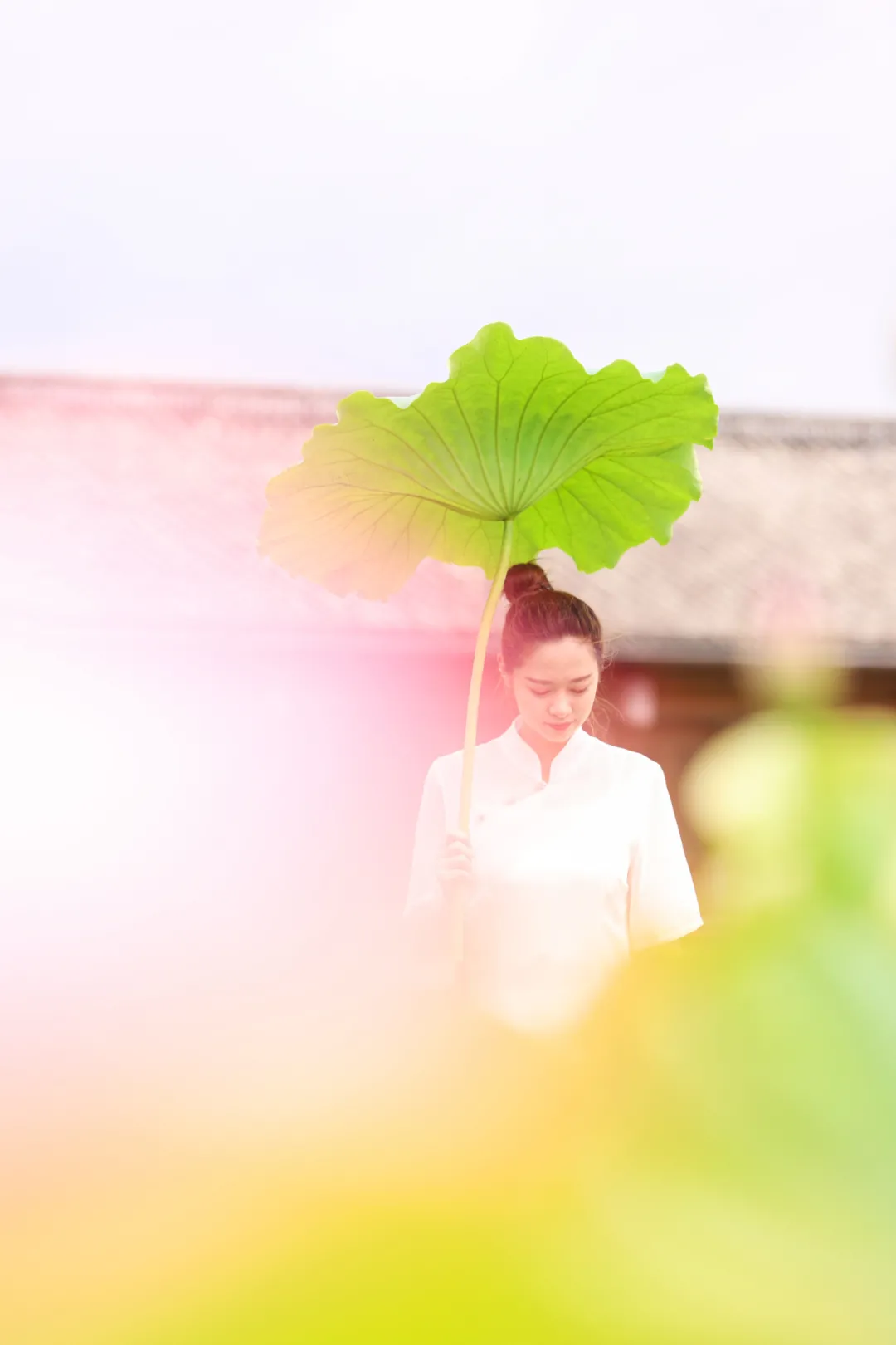 和顺古镇 | 水上印象 又是一年赏荷季