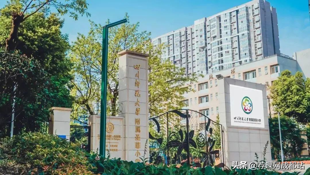 “直升”才是王炸！成都新进一贯制学校概览