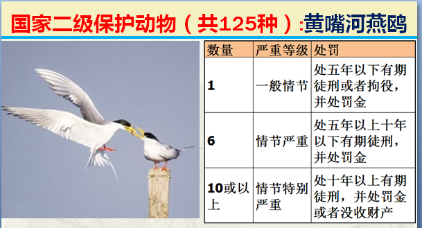 二级保护动物（国家最新125类二级野生保护名录）