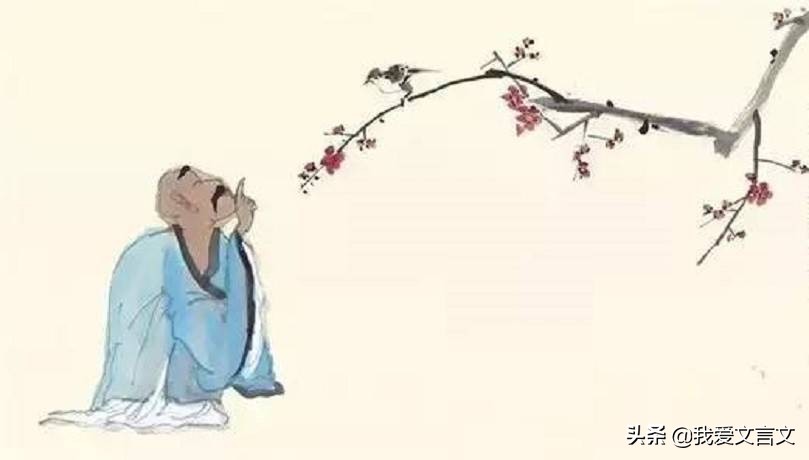 经典文言文赏析 | 斫树取果