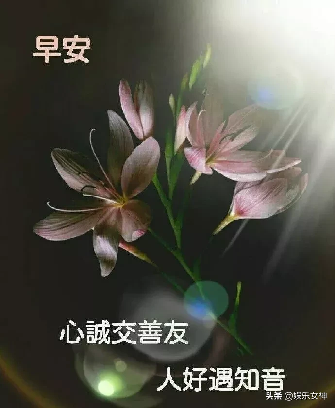 伸个懒腰，舒展甜美笑容；打开窗帘，迎接温暖晨光，早安