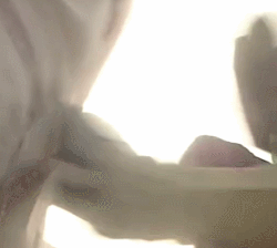 《九阳神功》全本，拿去！