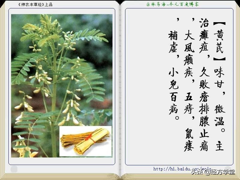 《神农本草经》全册图文解析 建议收藏