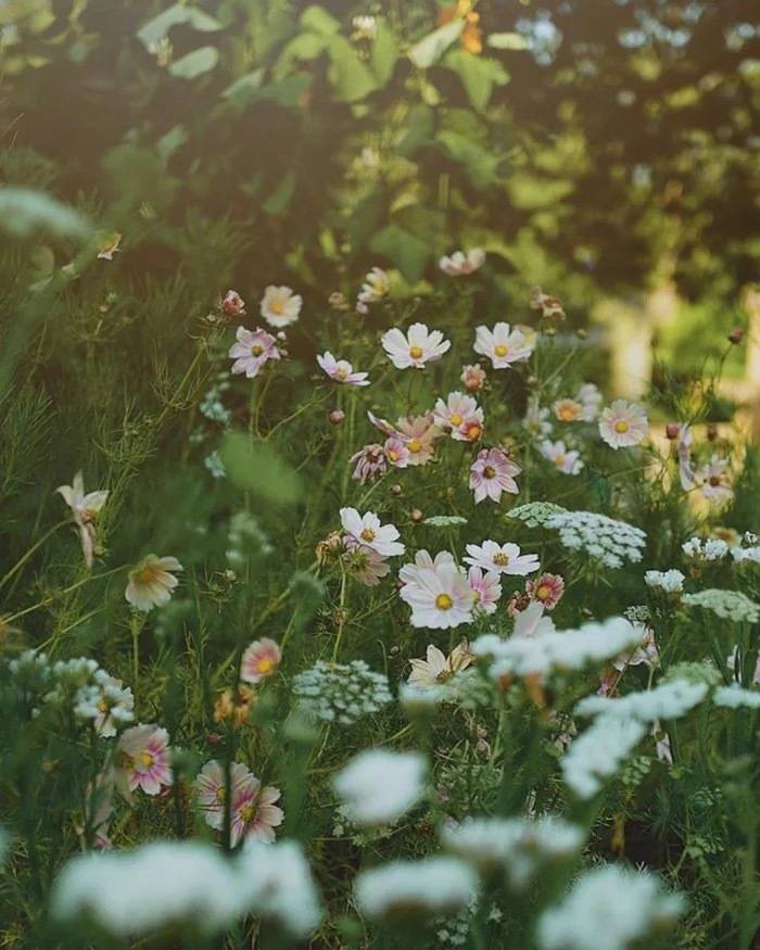 关于对亲人思念祈福的句子！
