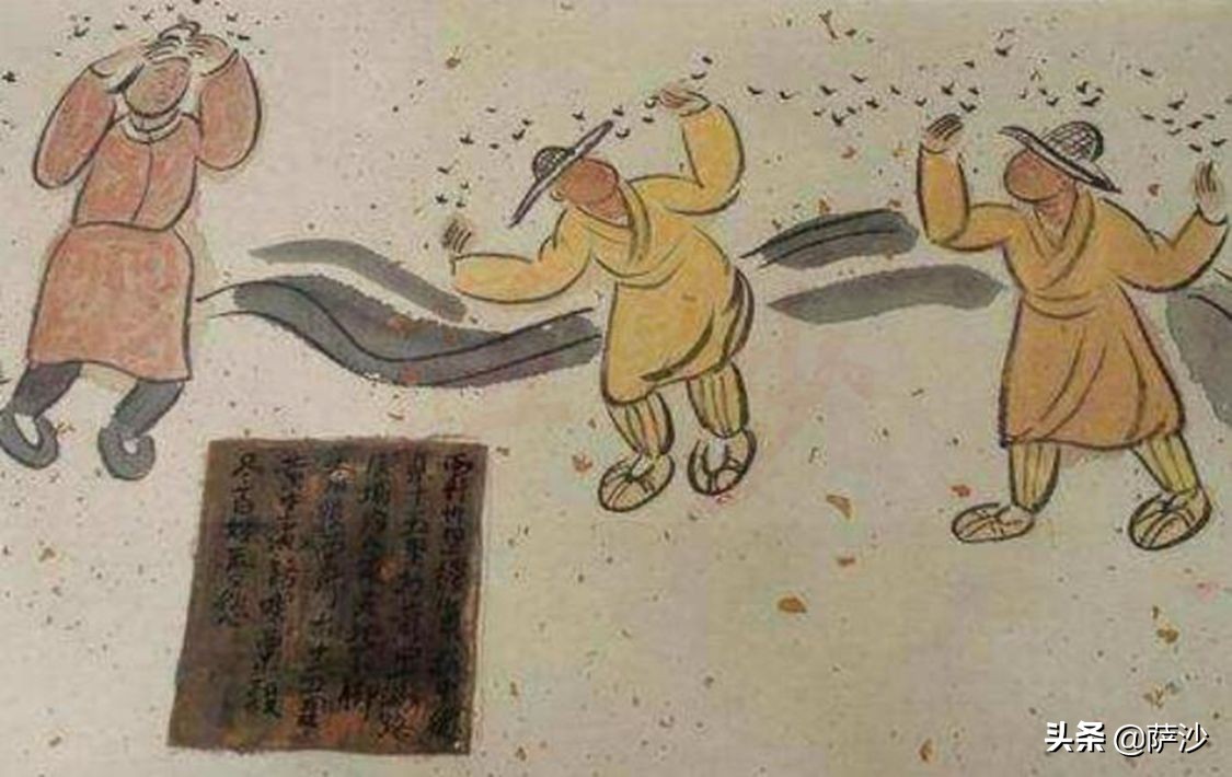 蝗蟲圖片,蝗蟲圖片大全