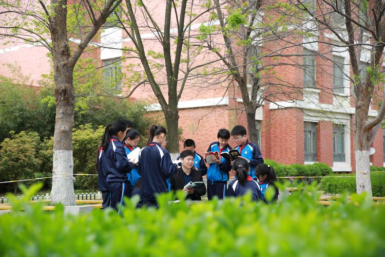 开发区实验学校：美矣美矣，开实芬芳“桃李”