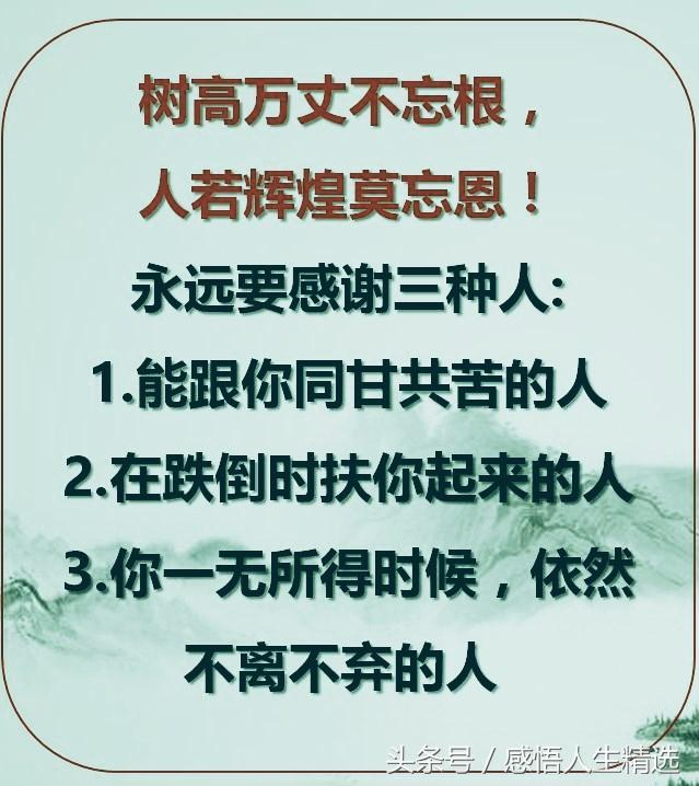 花花世界迷人眼:树高万丈不忘根;人若辉煌莫忘恩