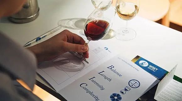 毕业季 | 葡萄酒专业都学什么？未来就业方向有哪些？