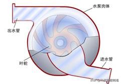 汽车发动机知识讲解，你想知道的发动机都在这里，每天开车知道吗