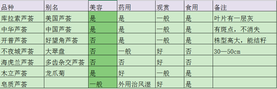 芦荟的种类有哪些（详解七个常见的芦荟品种）
