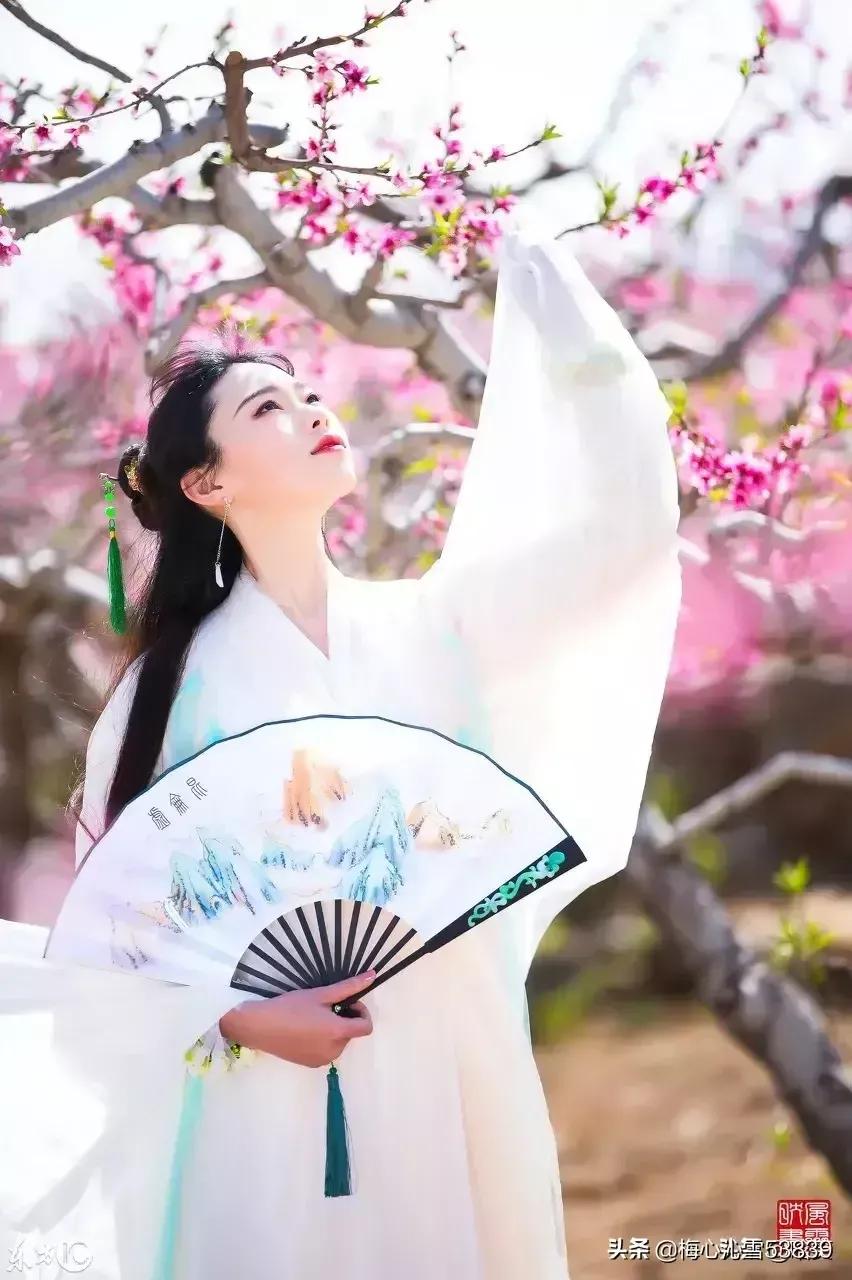 诗词赏读丨春暖花开 百花竞放 咏花诗词19首