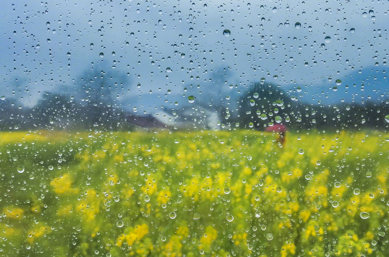 描写春雨的好词、好句、好段、好诗精选