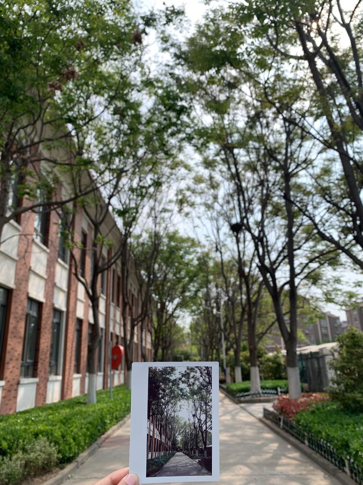 开发区实验学校：美矣美矣，开实芬芳“桃李”