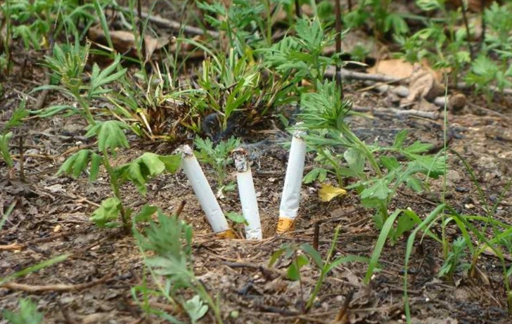 俗语“两人不对火，三人不点烟”是什么意思？点烟文化有何讲究？