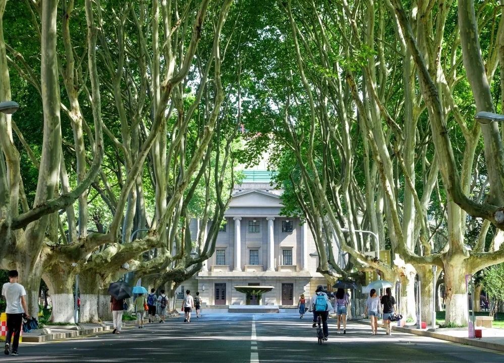 双非保研东南大学，斩获华为实习offer，循序渐进终有所获