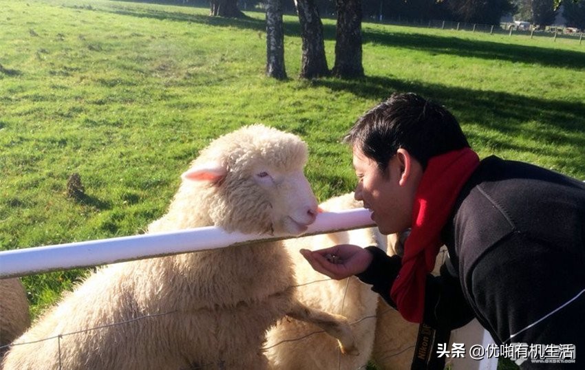 从旅游小白，到旅行达人，每次超值机票我就是这样一步步抢到的