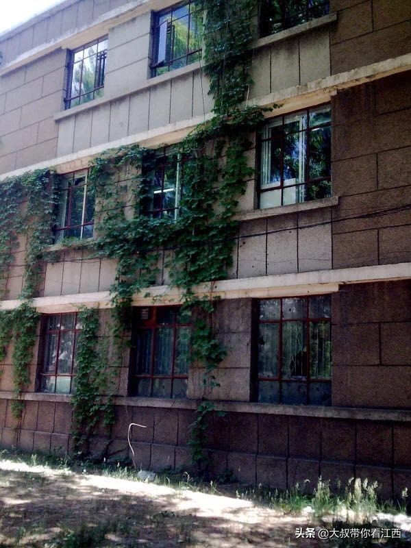 大同医专校园回忆