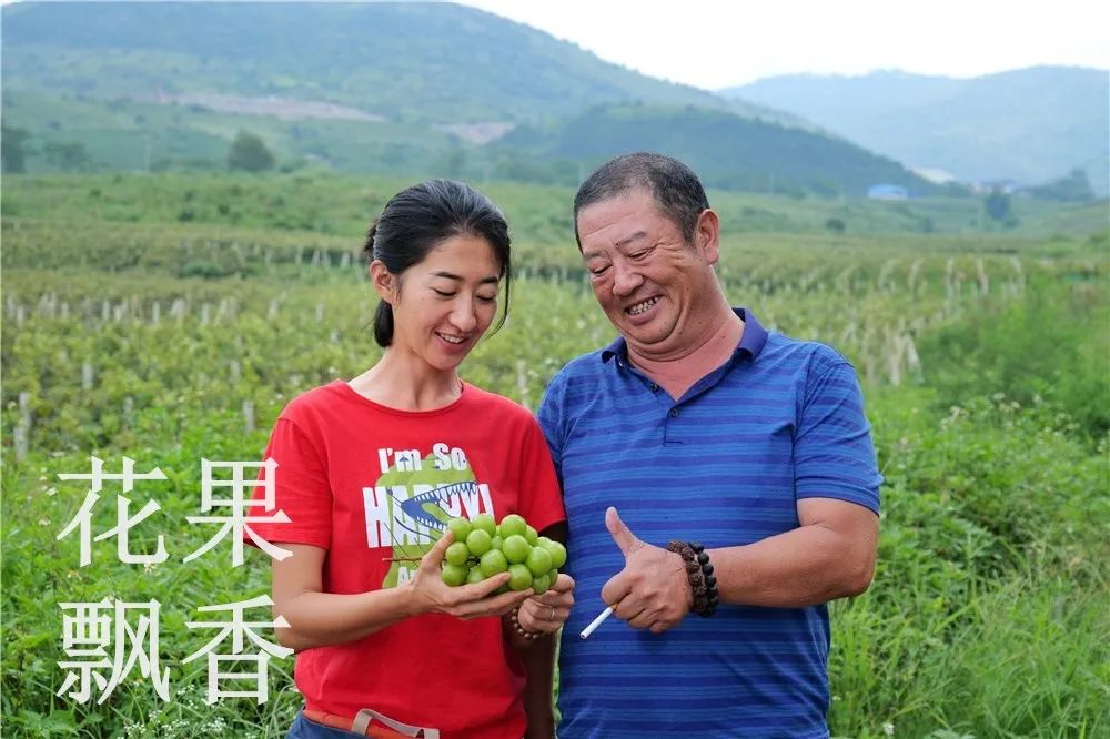 农业的魅力：纵使虐我千百遍，我仍待你如初恋