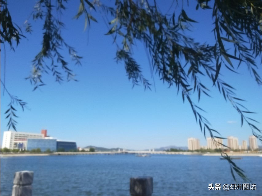 美丽的校园，威海职业学院