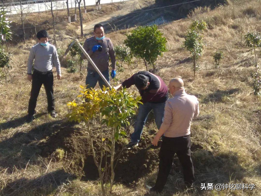 野猪怎么打,