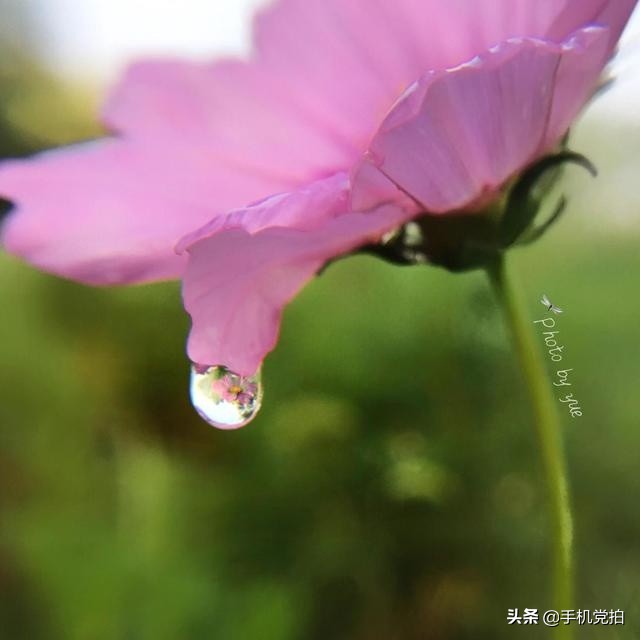 普通身边景，手机拍出新感觉｜教你5招拍好“镜像”画面