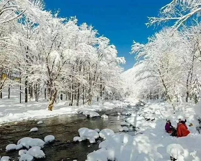 人生到处知何似，应似飞鸿踏雪泥，长白山一片雪白，等你留下脚印