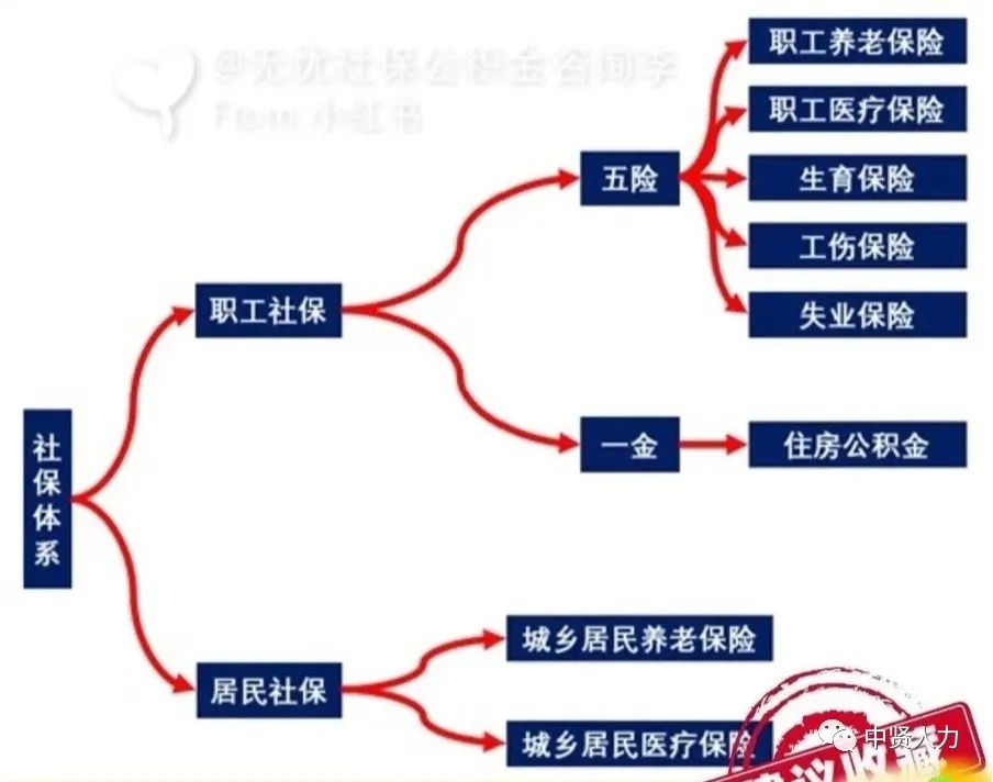 社保千万不能断，断缴后怎么补救？