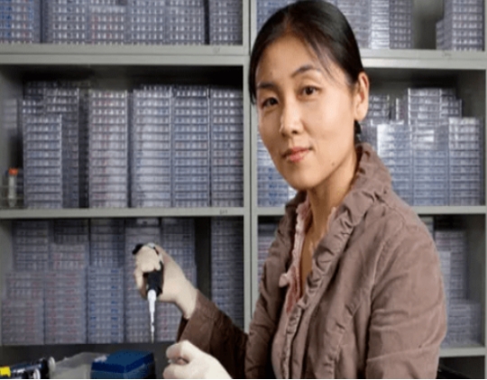 中国好闺蜜：一个42岁未婚，成为顶尖科学家，一个帮世界首富花钱