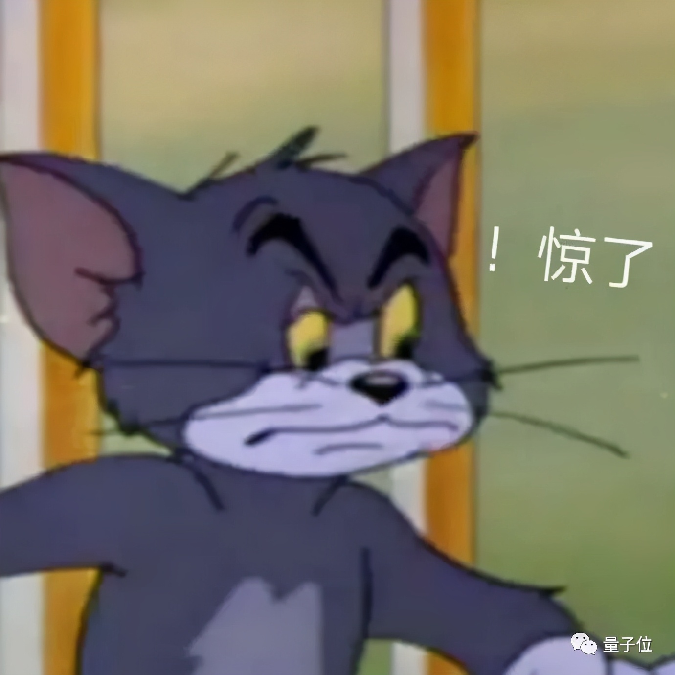 同济版《线性代数》再遭口诛笔伐，网友：它真的不太行