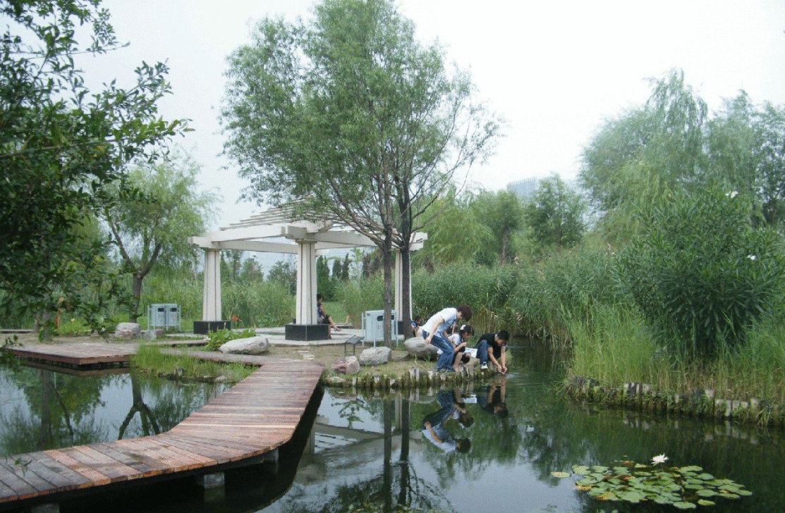 郑州十大湿地公园一览，自驾游绝佳去处！人少景美，不要门票