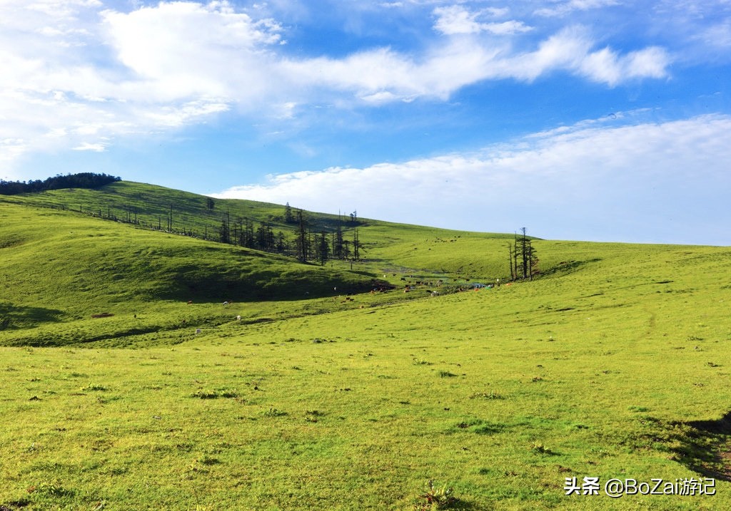 到四川乐山市旅游不能错过的10个景点，你去过几个？最爱哪个景点