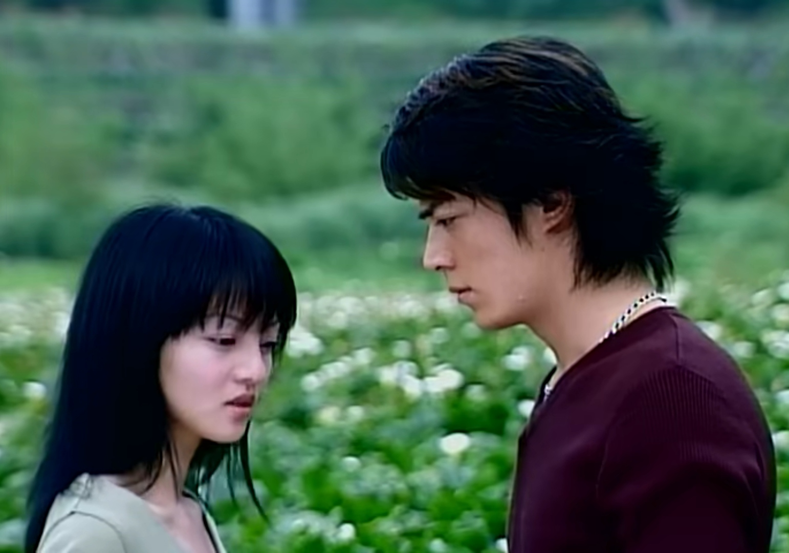 海豚湾恋人大结局 - 风集网