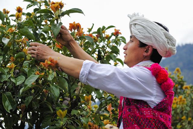 手抓饭是哪个民族的（手抓饭是哪个民族的特色食品）-第15张图片-科灵网