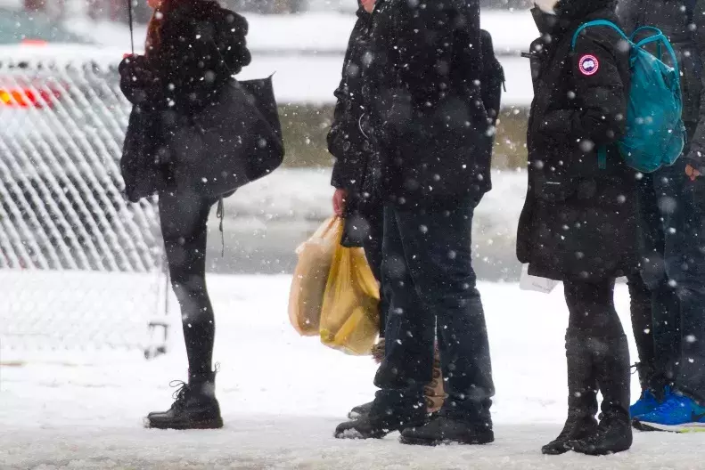 七八千一件的加拿大鹅到底贵在哪?