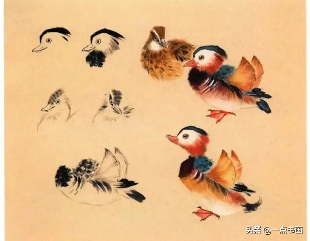 一学就会画——小写意禽鸟画法