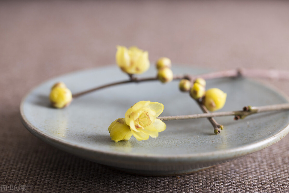 人生在世，只欠父母恩情