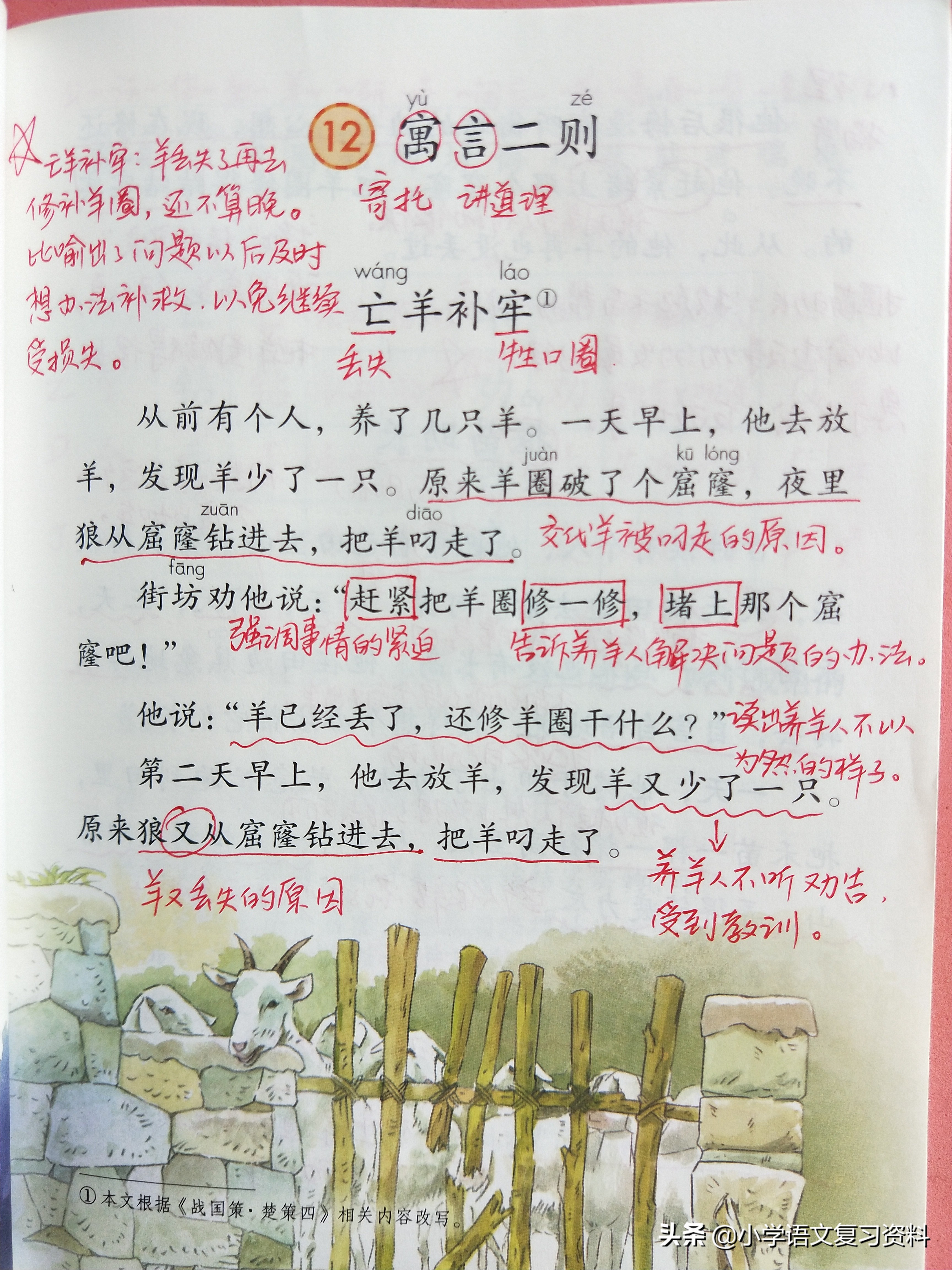 二年级下册语文园地四/寓言二则/画杨桃复习笔记,做好复学准备！