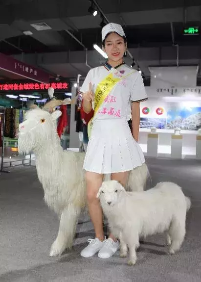 50多名高颜值大长腿美女汇聚巴彦淖尔，快来围观