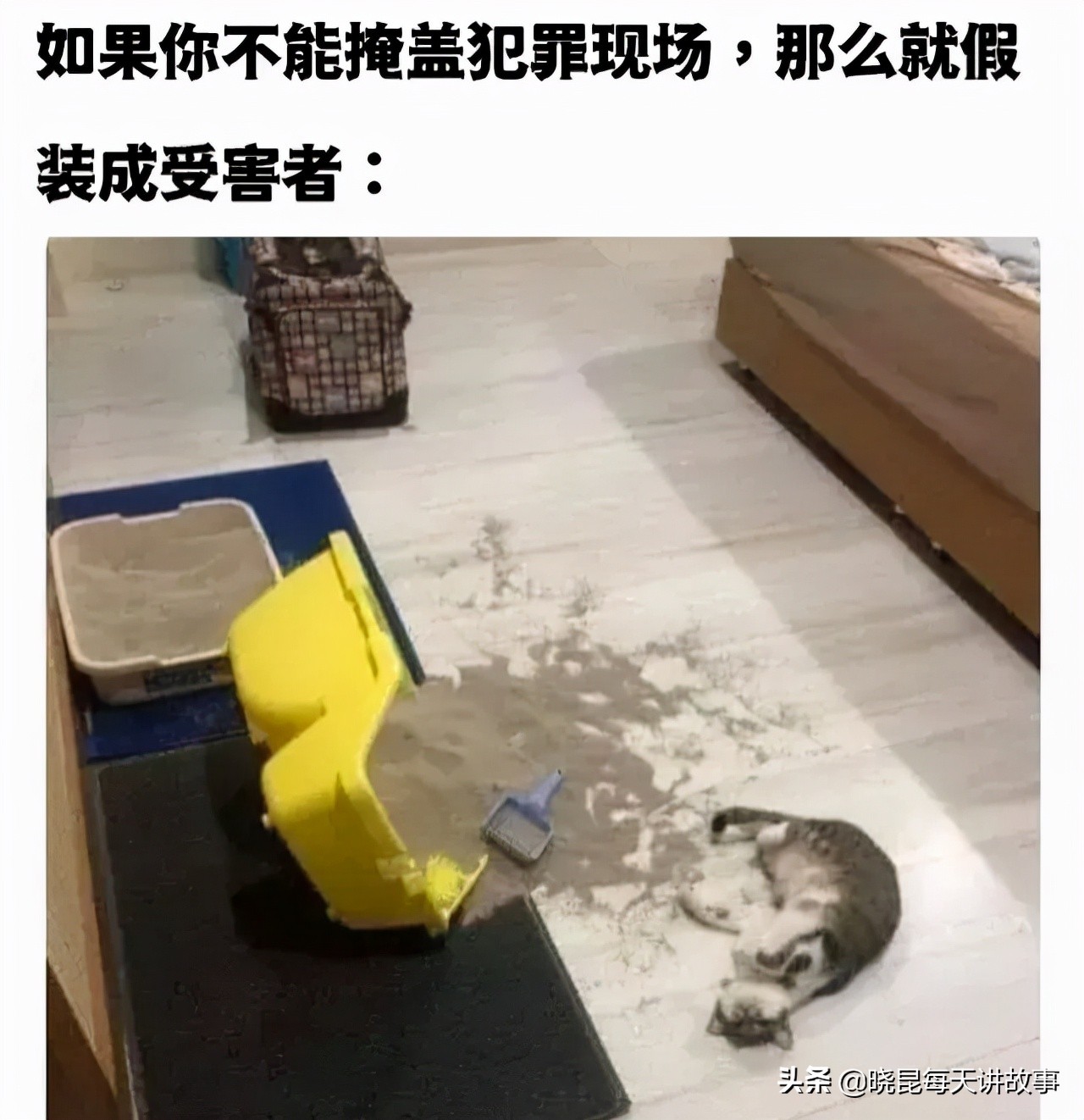 神回复：如果让你俩单独在一间屋子呆24小时，你敢么？神评绝了