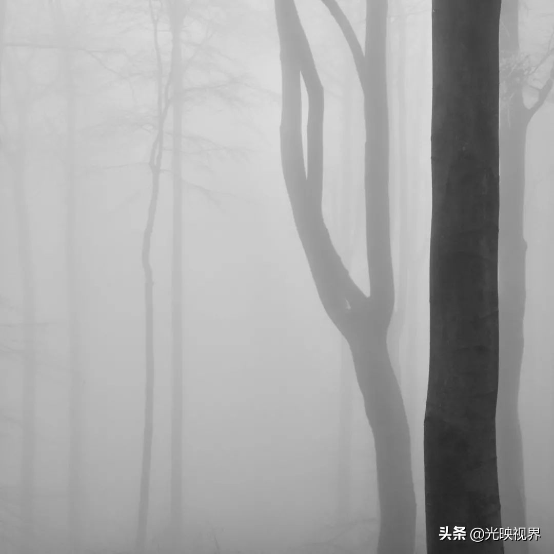 静谧的孤独-黑白极简主义摄影奖作品